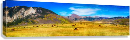 Crested Butte Panorama1  Impression sur toile