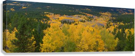Colorado Autumn Panorama colorful  Canvas Print