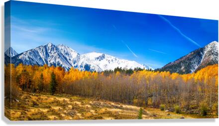 Colorado Rocky Mountain Independence Pass Fall Pano  Impression sur toile