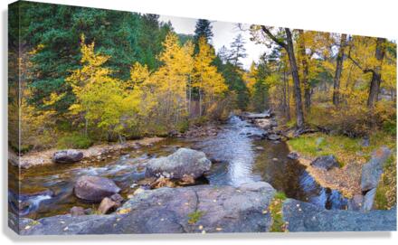 Colorado Autumn Creek Happy Place Panoramic  Impression sur toile