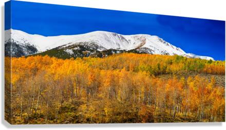 Colorado Rocky Mountain Independence Pass   Canvas Print