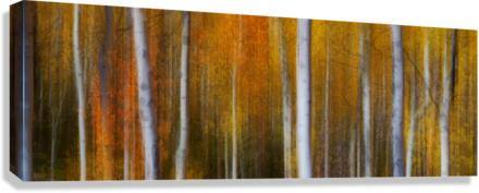 Forest Color Burst Modern Abstract 60x20  Impression sur toile