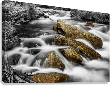 Cascading Water and Rocky Mountain Rocks BWSC  Canvas Print