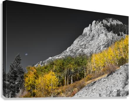 MONARCH PASS WANING GIBBOUS MOON SELECTIVE BO INSOGNA  Canvas Print