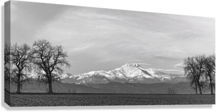 Twin Peaks Between The Trees BW Panorama  Canvas Print