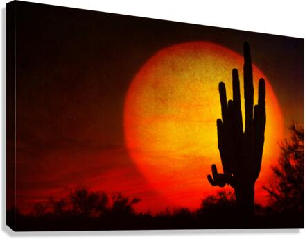 Big Southwest Sunset  Canvas Print