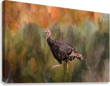 Native Merriam Turkey  Canvas Print