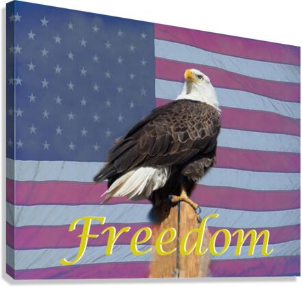 American Freedom Canvas print