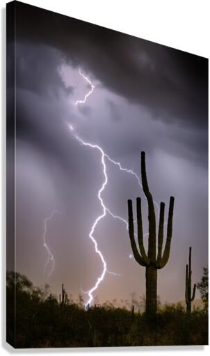 Sonoran Desert Monsoon Storming  Impression sur toile