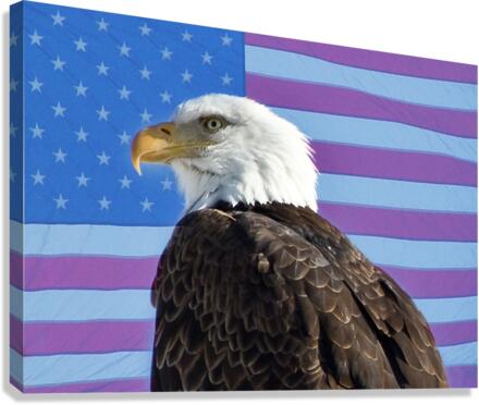 American Eagle 2  Impression sur toile