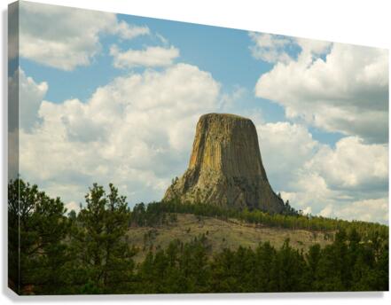 Majestic Devils Tower in Wyoming Amidst Pine Forest  Impression sur toile