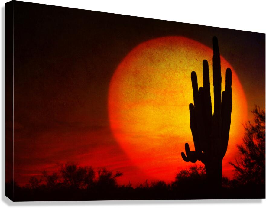 Big Sun Saguaro Sunset Canvas print