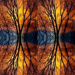 Sunset Tree Silhouette Abstract 4 1