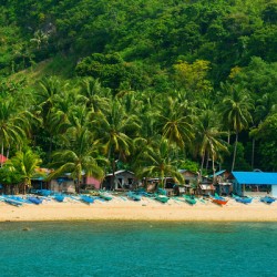 Blue Whispers of the Tropic Shore