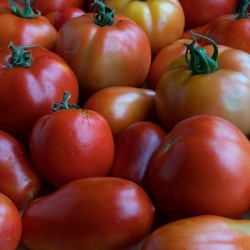 Red Tomato Mix