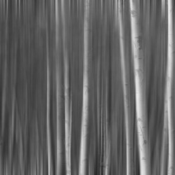 Somewhere Along the Road