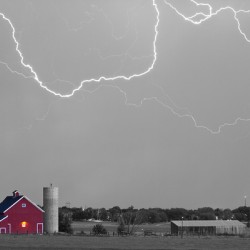 C2C Red Barn Lightning Rodeo BW SC
