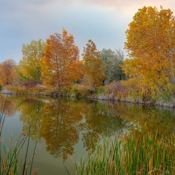 Just Another Beautiful Autumn Reflection