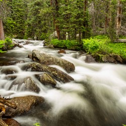 Roosevelt National Forest Stream