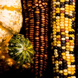 Natures Mosaic An Autumn Harvest