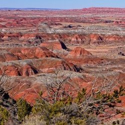 Painted Desert Horizons Arizona