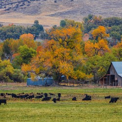 Just A Pretty Country Landscape