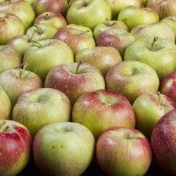 How about Them Apples