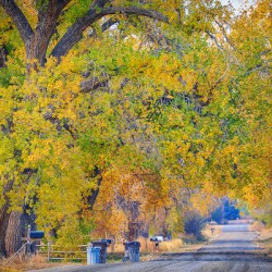 Awesome Country Road