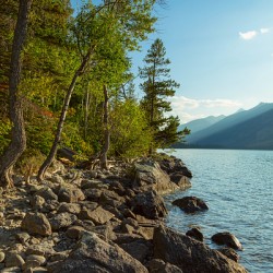 Jenny Lake Rocky Shoreline Grand Teton National Park Fine Art Print