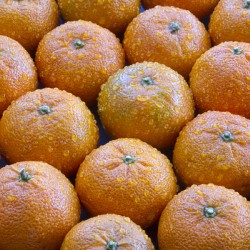 Oranges