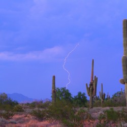 Southwest Sonoran Desert Lightning Strike