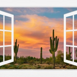 Arizona Saguaro Colorful Sky White Open Window