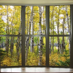 Autumn Forest Bay Window View