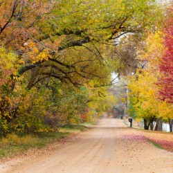 Autumns Country Retreat - A Canopy of Color