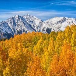Colorado Rocky Mountain Autumn Beauty