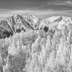 Colorado Rocky Mountain Autumn Beauty Black and White