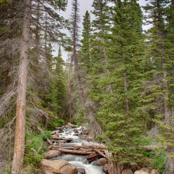 Colorado Rocky Mountain Flowing Stream