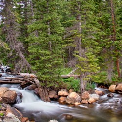Colorado Rocky Mountain Forest Stream