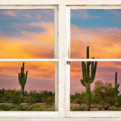 Colorful Southwest Desert Rustic Window View