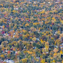 Colorful Trees Boulder Colorado