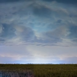 Country Wheat Field Storm Panorama