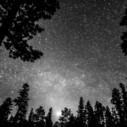 Dark Stellar Universe Deep Into The Night