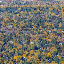 Fall Foliage Boulder Colorado