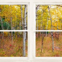 Happy Forest  Autumn Season Rustic Window View