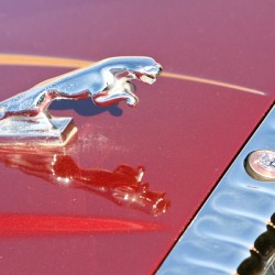Jaguar Hood Ornamen and Emblem