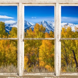 Independence Pass Autumn View White Window
