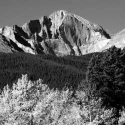 Longs Peak Autumn Aspen Landscape View BW