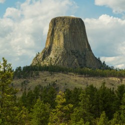Majestic Devils Tower in Wyoming Surrounded by Pine Forest