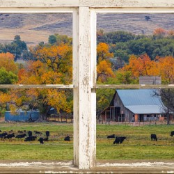 Pretty Colorful Country Rustic Window Frame
