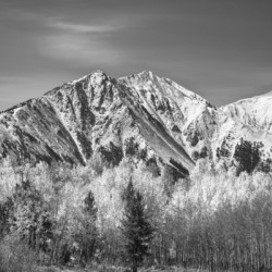 Rocky Mountain Autumn High In Black and White